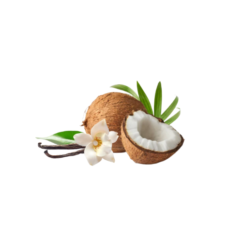 Coco Baunilha